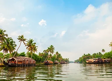 golden-triangle-with-kerala