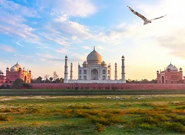 taj-mahal-agra-india