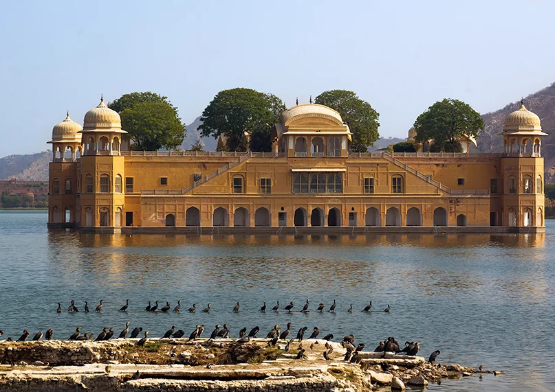 India tour packages from usa