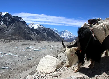Chulu East Peak Trek