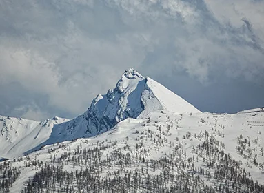 Ghorepani Poonhill Trek in Nepal
