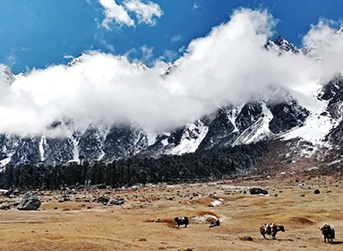 Langtang Ganjala Trek in Nepal