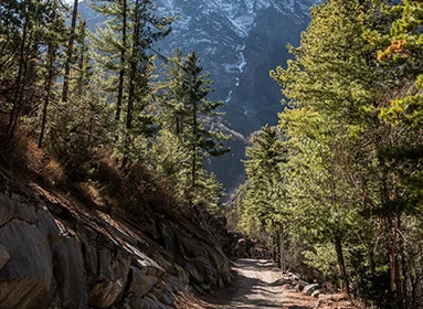 Chulu West Peak Trek
