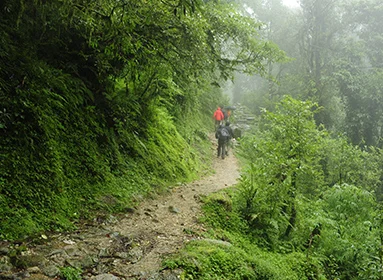 Singu Chuli Peak Trek in Nepal