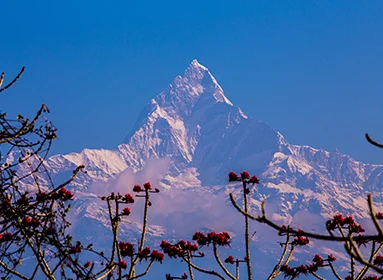 Lobuche Peak Trek in Nepal
