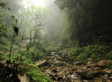 Hiunchuli Peak Trek in Nepal
